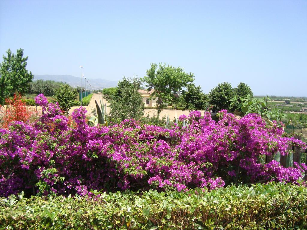 Tenuta Colle Degli Ulivi Sibari Exterior photo
